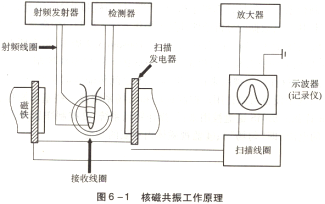 Bruker 600 MHz核磁共振波谱仪（一）-www.bzwz.com伟业计量